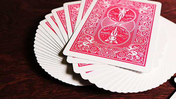 Bicycle Fuchsia Deck of Playing Cards