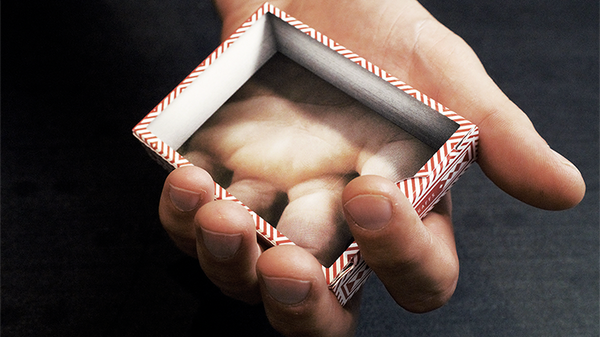 Visualies Gaff System (Gimmicks and Online Instructions) by Mechanic Industries Magic Trick